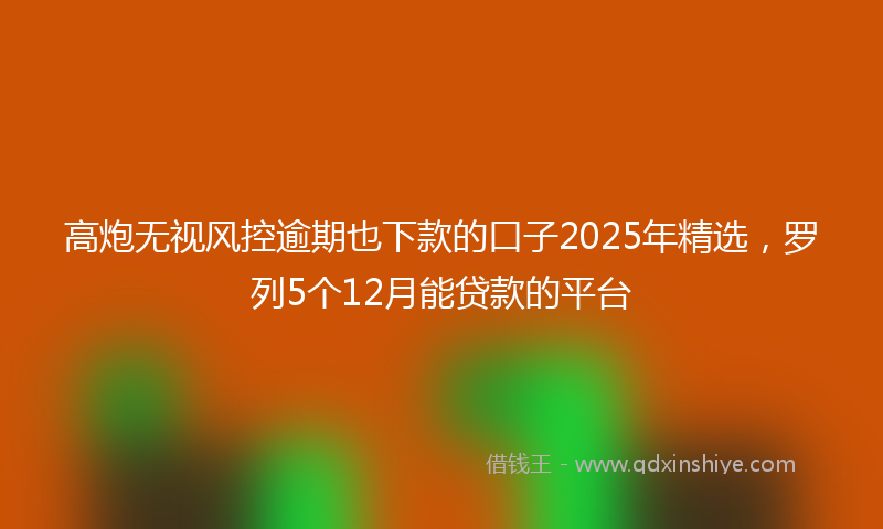 高炮无视风控逾期也下款的口子2025年精选，罗列5个12月能贷款的平台