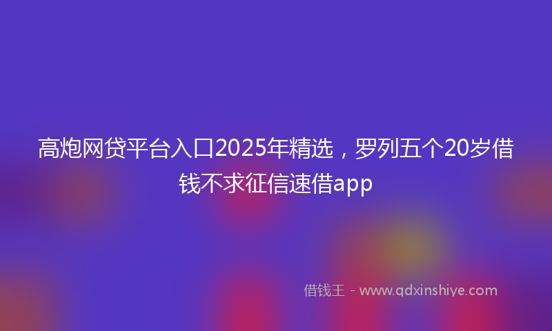 高炮网贷平台入口2025年精选，罗列五个20岁借钱不求征信速借app