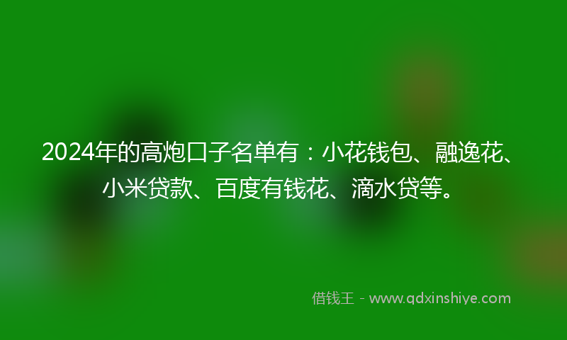 2024年的高炮口子名单有：小花钱包、融逸花、小米贷款、百度有钱花、滴水贷等。