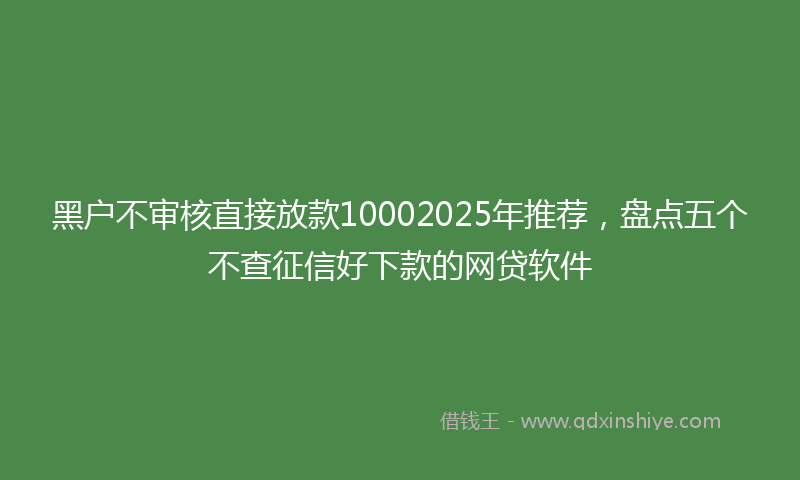 黑户不审核直接放款10002025年推荐，盘点五个不查征信好下款的网贷软件