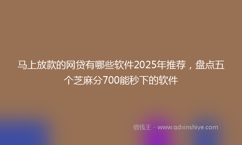 马上放款的网贷有哪些软件2025年推荐，盘点五个芝麻分700能秒下的软件
