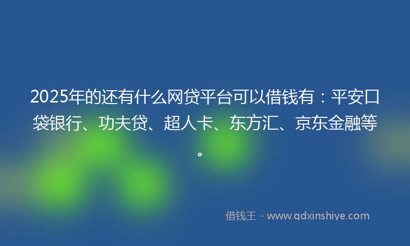 2025年的还有什么网贷平台可以借钱有：平安口袋银行、功夫贷、超人卡、东方汇、京东金融等。
