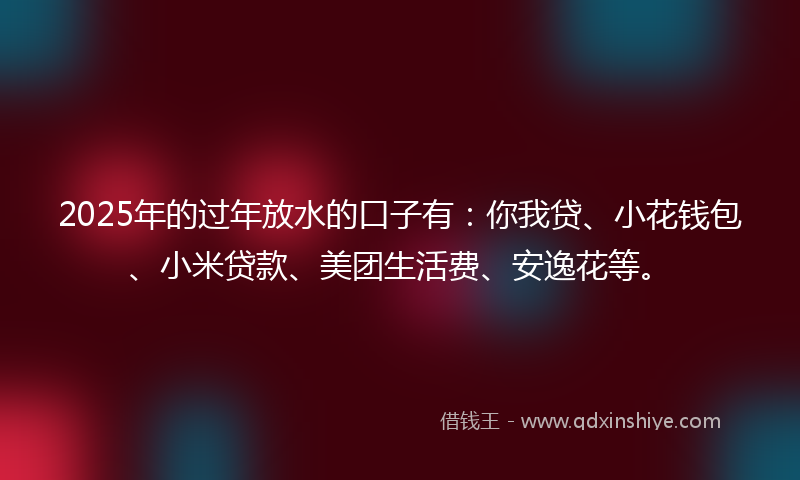 2025年的过年放水的口子有：你我贷、小花钱包、小米贷款、美团生活费、安逸花等。