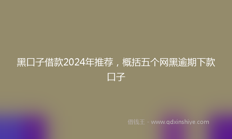 黑口子借款2024年推荐，概括五个网黑逾期下款口子