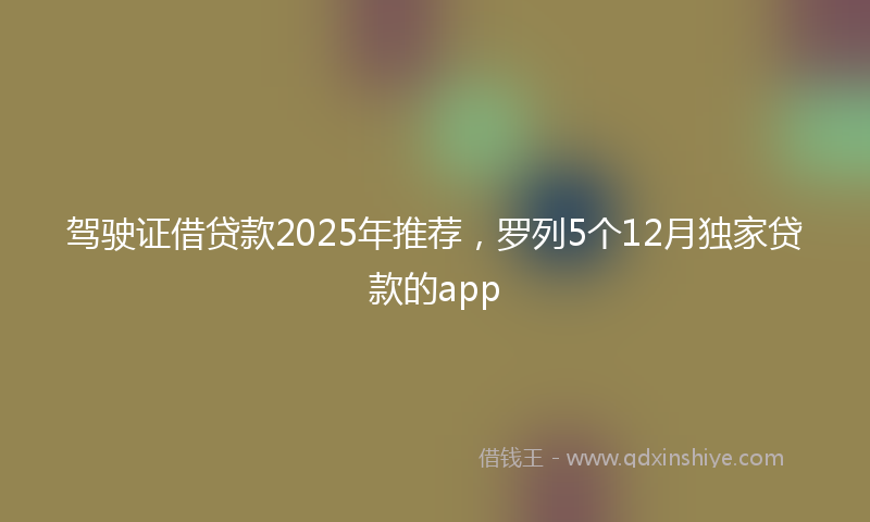 驾驶证借贷款2025年推荐，罗列5个12月独家贷款的app