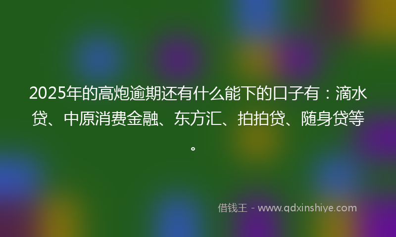 2025年的高炮逾期还有什么能下的口子有：滴水贷、中原消费金融、东方汇、拍拍贷、随身贷等。