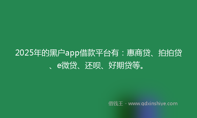2025年的黑户app借款平台有：惠商贷、拍拍贷、e微贷、还呗、好期贷等。