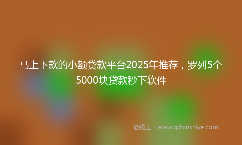 马上下款的小额贷款平台2025年推荐，罗列5个5000块贷款秒下软件