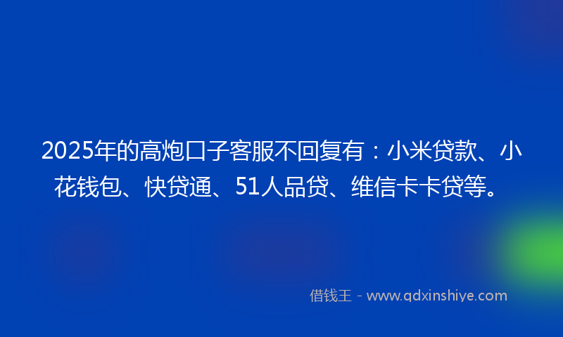 2025年的高炮口子客服不回复有：小米贷款、小花钱包、快贷通、51人品贷、维信卡卡贷等。