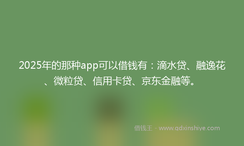 2025年的那种app可以借钱有：滴水贷、融逸花、微粒贷、信用卡贷、京东金融等。