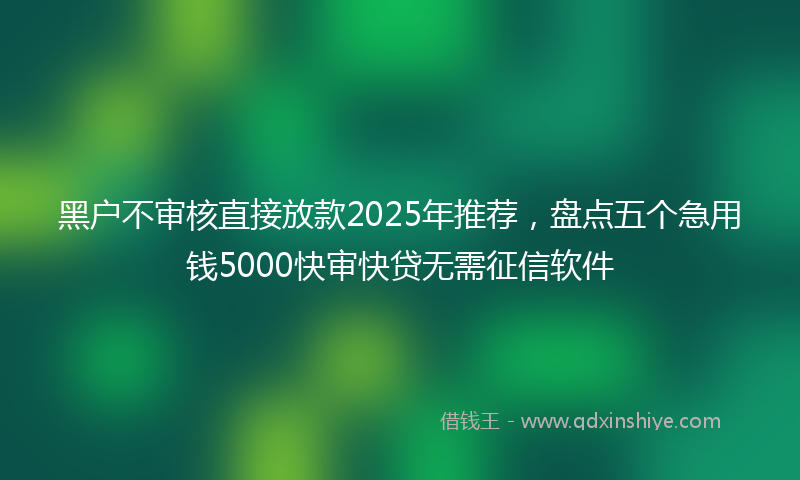 黑户不审核直接放款2025年推荐，盘点五个急用钱5000快审快贷无需征信软件