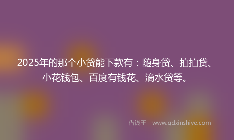 2025年的那个小贷能下款有：随身贷、拍拍贷、小花钱包、百度有钱花、滴水贷等。