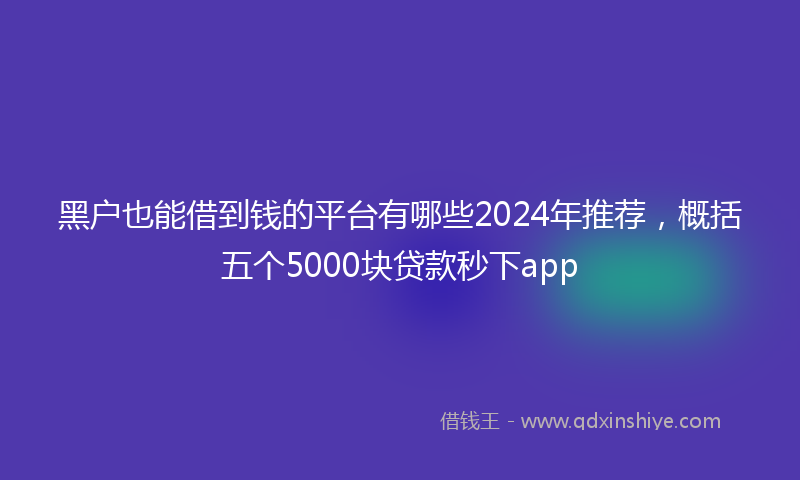 黑户也能借到钱的平台有哪些2024年推荐，概括五个5000块贷款秒下app