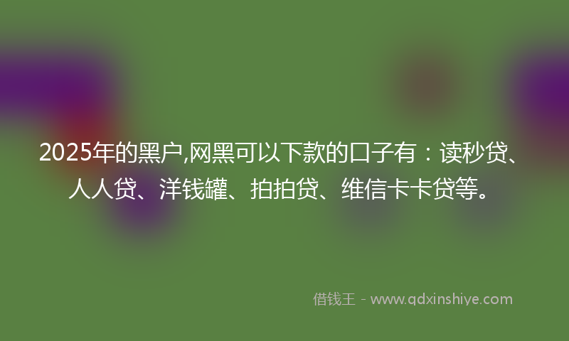 2025年的黑户,网黑可以下款的口子有：读秒贷、人人贷、洋钱罐、拍拍贷、维信卡卡贷等。