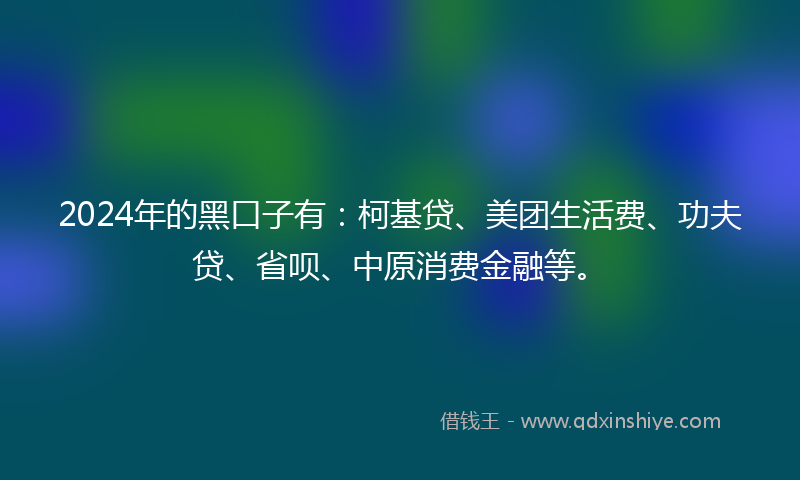 2024年的黑口子有：柯基贷、美团生活费、功夫贷、省呗、中原消费金融等。