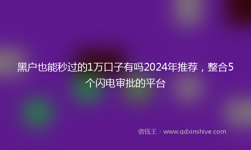 黑户也能秒过的1万口子有吗2024年推荐，整合5个闪电审批的平台
