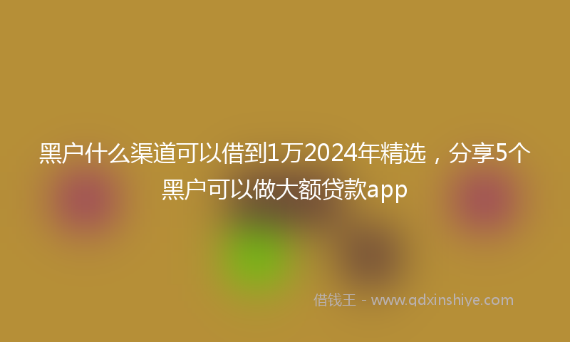 黑户什么渠道可以借到1万2024年精选，分享5个黑户可以做大额贷款app