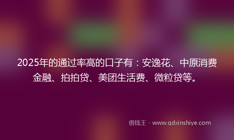 2025年的通过率高的口子有：安逸花、中原消费金融、拍拍贷、美团生活费、微粒贷等。