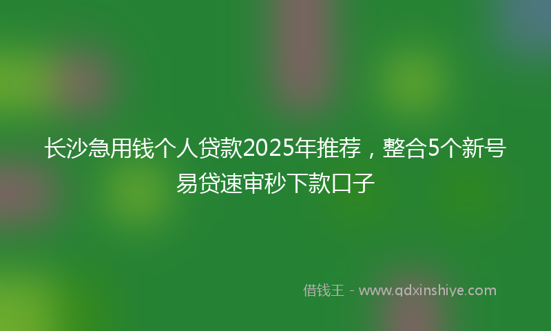 长沙急用钱个人贷款2025年推荐，整合5个新号易贷速审秒下款口子