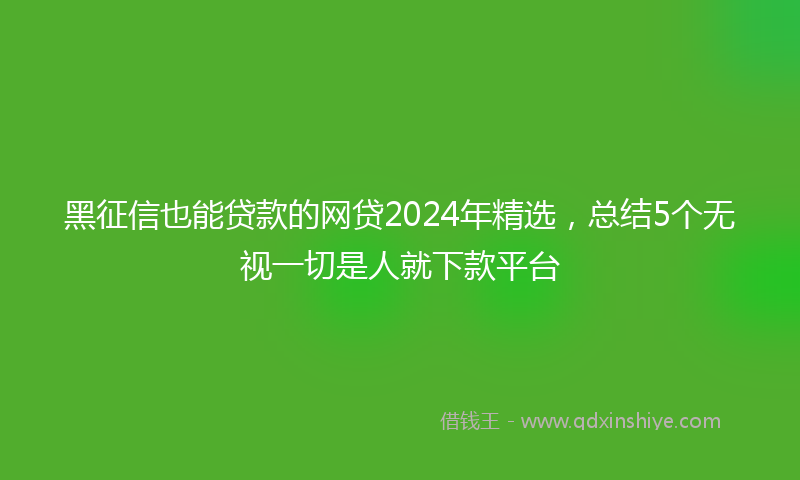 黑征信也能贷款的网贷2024年精选，总结5个无视一切是人就下款平台