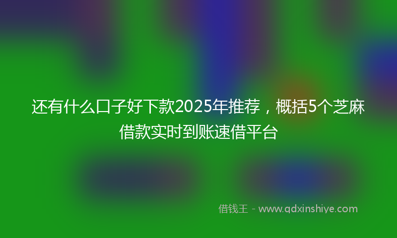 还有什么口子好下款2025年推荐，概括5个芝麻借款实时到账速借平台