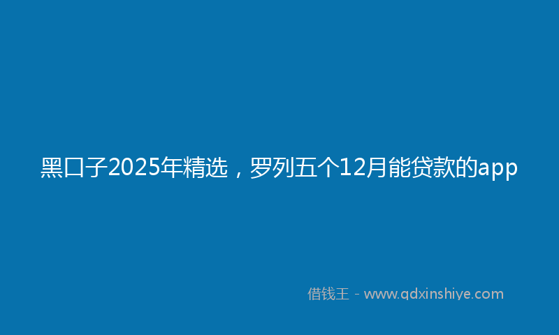 黑口子2025年精选，罗列五个12月能贷款的app