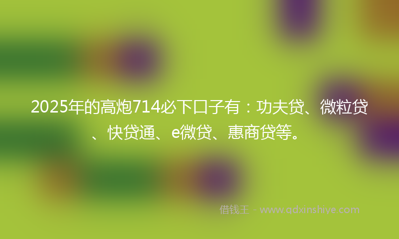 2025年的高炮714必下口子有：功夫贷、微粒贷、快贷通、e微贷、惠商贷等。