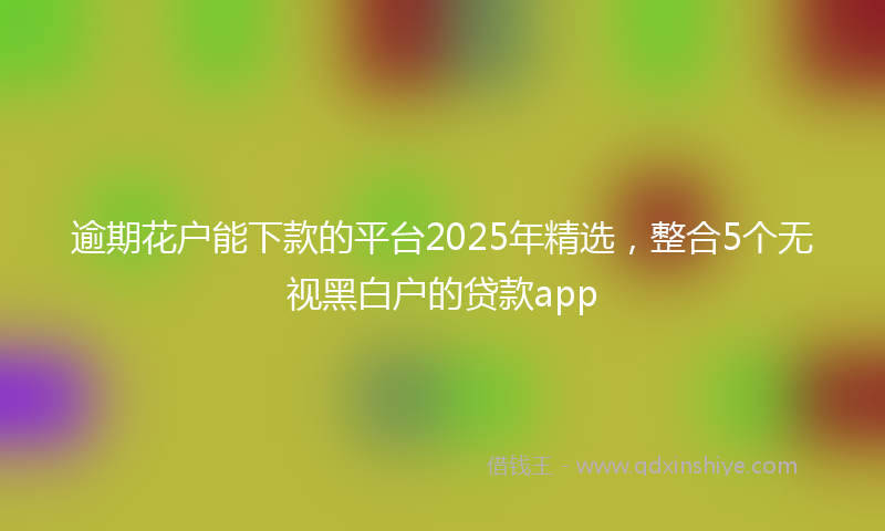 逾期花户能下款的平台2025年精选，整合5个无视黑白户的贷款app