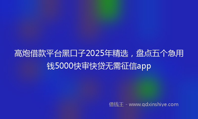 高炮借款平台黑口子2025年精选，盘点五个急用钱5000快审快贷无需征信app
