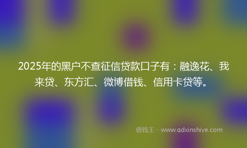 2025年的黑户不查征信贷款口子有：融逸花、我来贷、东方汇、微博借钱、信用卡贷等。
