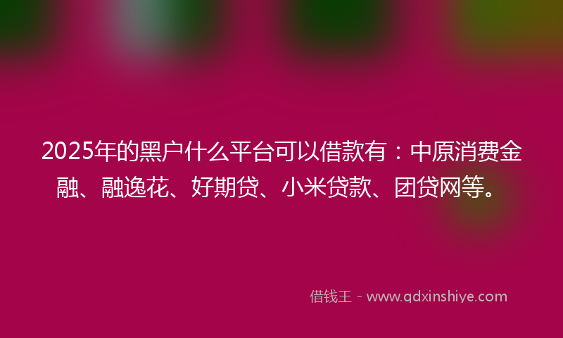 2025年的黑户什么平台可以借款有：中原消费金融、融逸花、好期贷、小米贷款、团贷网等。