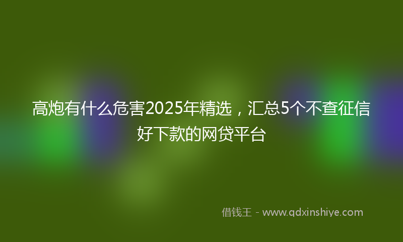 高炮有什么危害2025年精选，汇总5个不查征信好下款的网贷平台