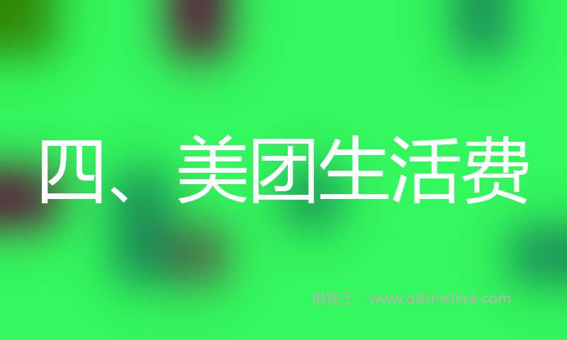 四、美团生活费