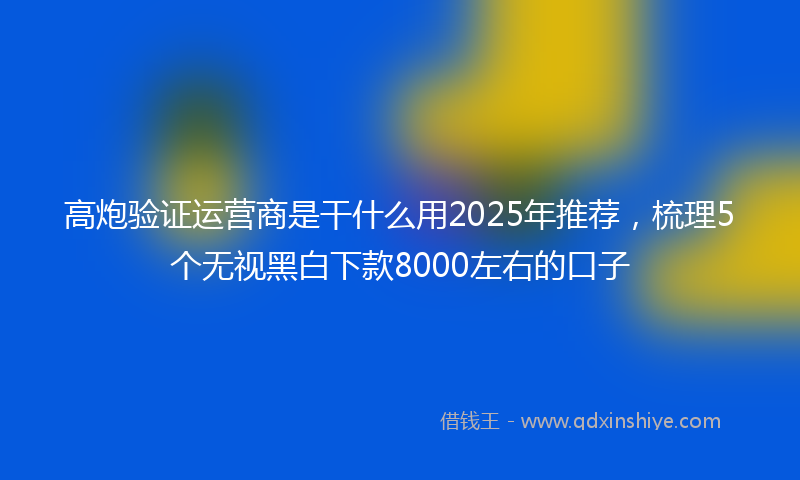 高炮验证运营商是干什么用2025年推荐，梳理5个无视黑白下款8000左右的口子