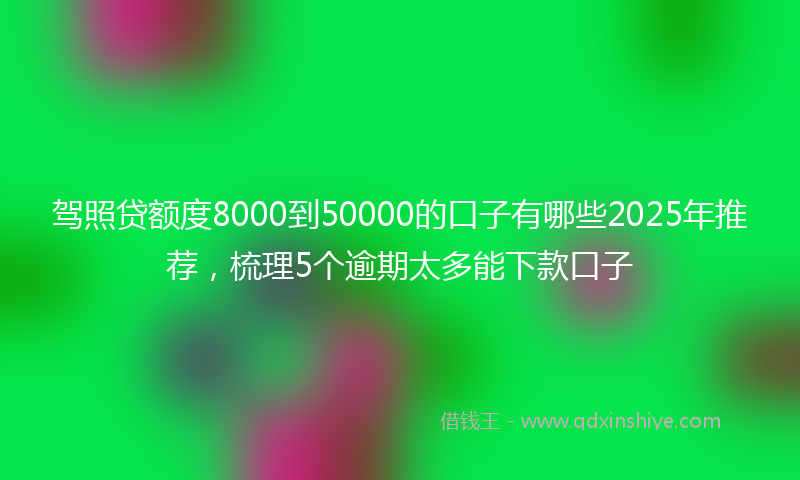 驾照贷额度8000到50000的口子有哪些2025年推荐，梳理5个逾期太多能下款口子