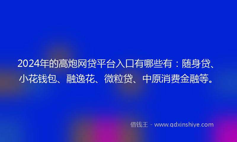 2024年的高炮网贷平台入口有哪些有：随身贷、小花钱包、融逸花、微粒贷、中原消费金融等。