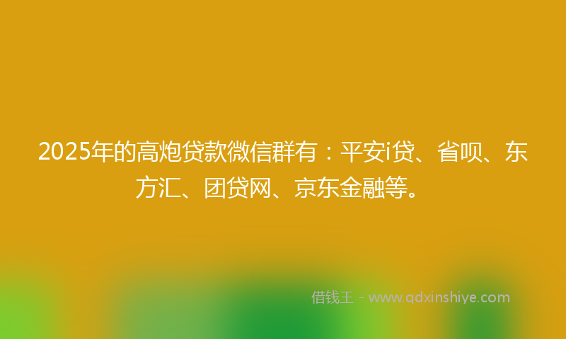 2025年的高炮贷款微信群有：平安i贷、省呗、东方汇、团贷网、京东金融等。