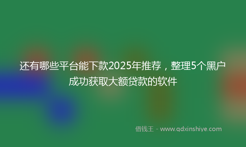 还有哪些平台能下款2025年推荐，整理5个黑户成功获取大额贷款的软件