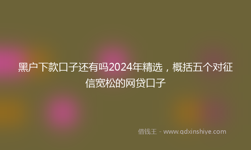 黑户下款口子还有吗2024年精选，概括五个对征信宽松的网贷口子
