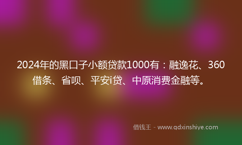 2024年的黑口子小额贷款1000有：融逸花、360借条、省呗、平安i贷、中原消费金融等。