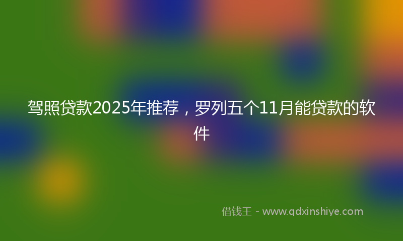 驾照贷款2025年推荐，罗列五个11月能贷款的软件