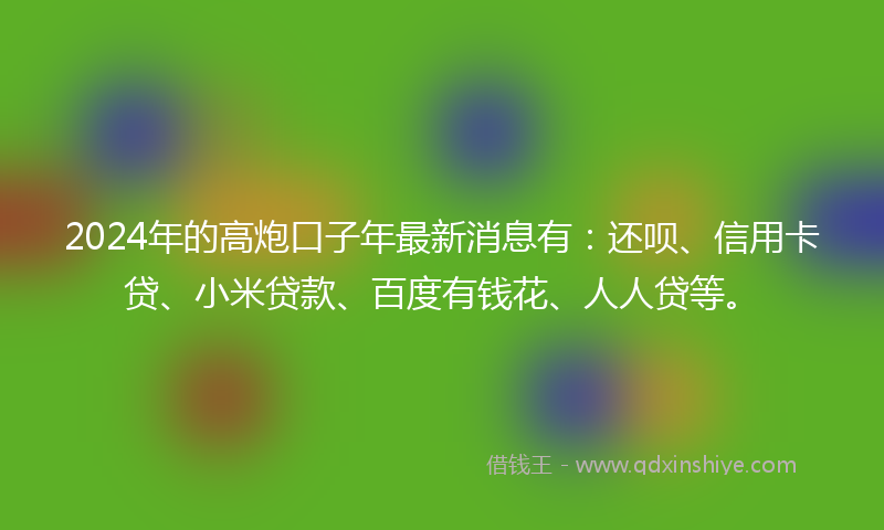 2024年的高炮口子年最新消息有：还呗、信用卡贷、小米贷款、百度有钱花、人人贷等。