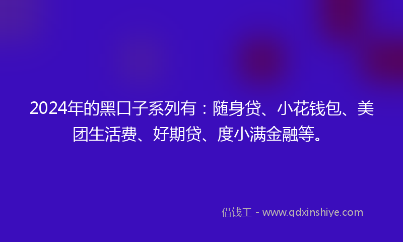 2024年的黑口子系列有：随身贷、小花钱包、美团生活费、好期贷、度小满金融等。