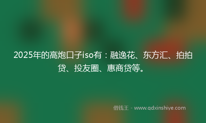 2025年的高炮口子iso有：融逸花、东方汇、拍拍贷、投友圈、惠商贷等。