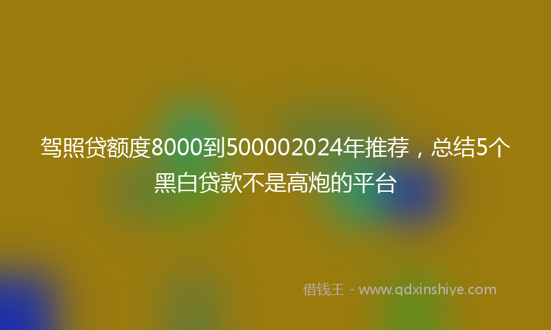 驾照贷额度8000到500002024年推荐，总结5个黑白贷款不是高炮的平台