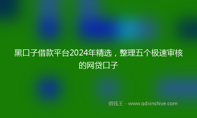 黑口子借款平台2024年精选，整理五个极速审核的网贷口子
