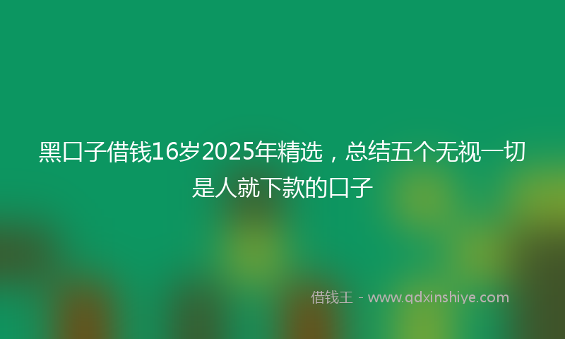 黑口子借钱16岁2025年精选，总结五个无视一切是人就下款的口子