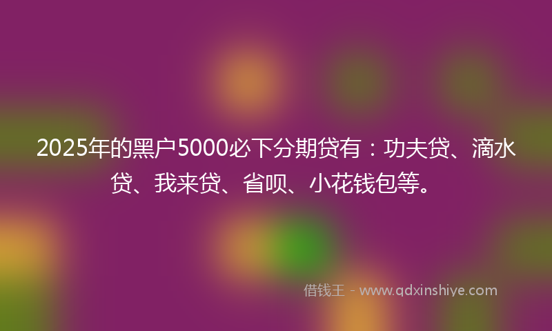 2025年的黑户5000必下分期贷有：功夫贷、滴水贷、我来贷、省呗、小花钱包等。