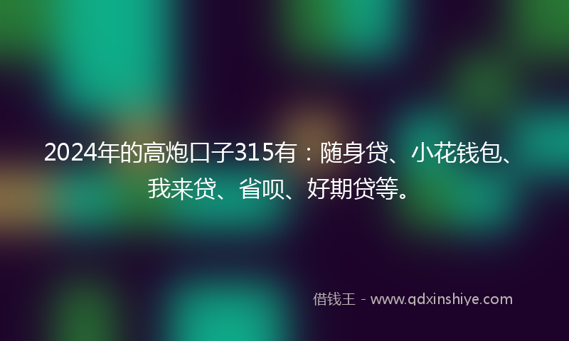 2024年的高炮口子315有：随身贷、小花钱包、我来贷、省呗、好期贷等。