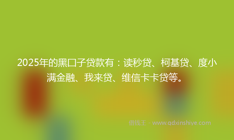 2025年的黑囗子贷款有：读秒贷、柯基贷、度小满金融、我来贷、维信卡卡贷等。